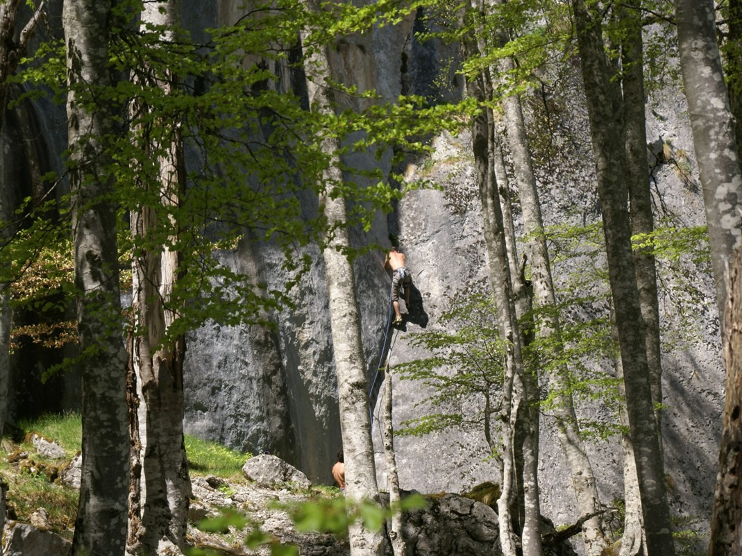 Galerie Escalade